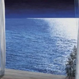 Affiche Art Alice Dalton Brown - Nocturne s 48x32cm