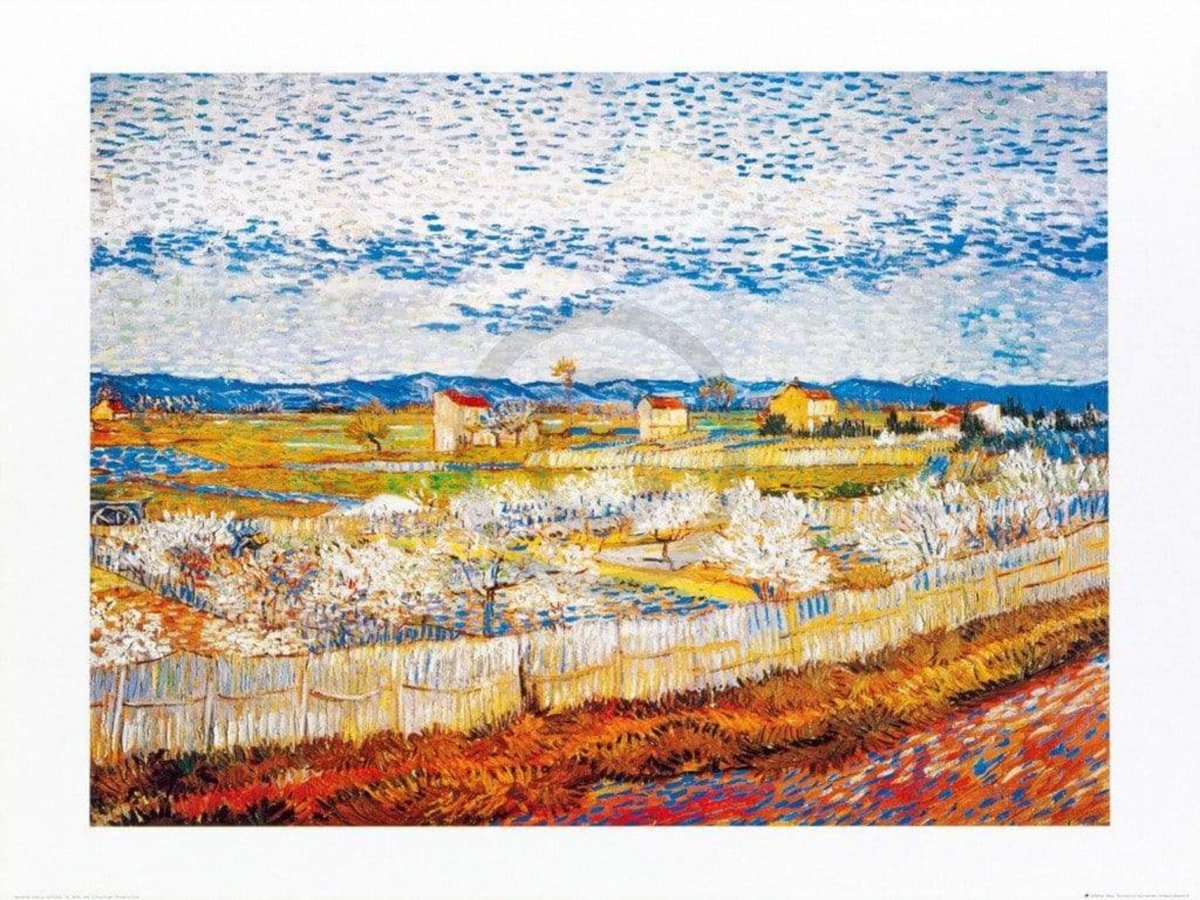 Affiche Art Vincent Van Gogh - Pesco in fiore 80x60cm